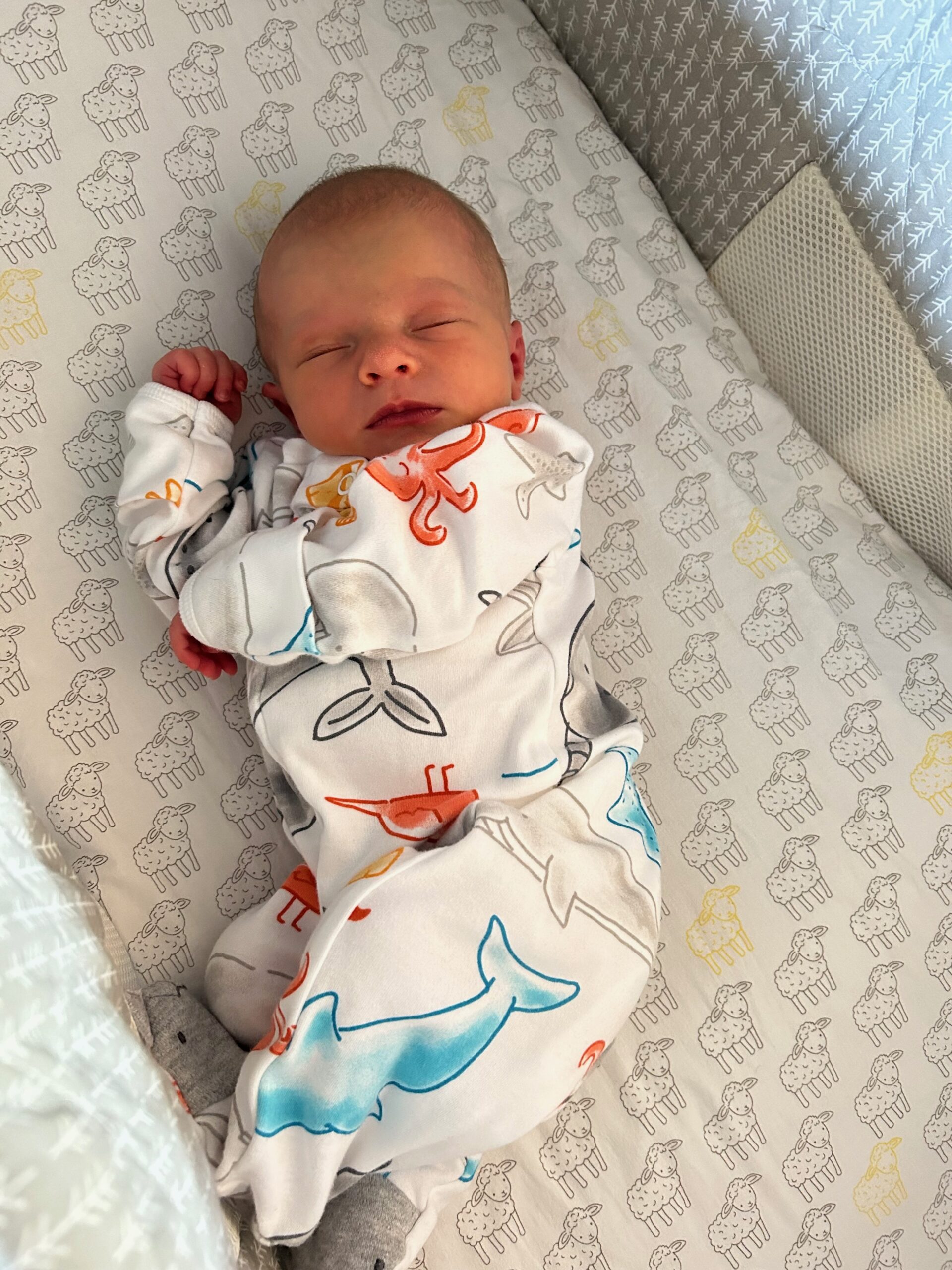 incredibly cute newborn baby sleeping soundly